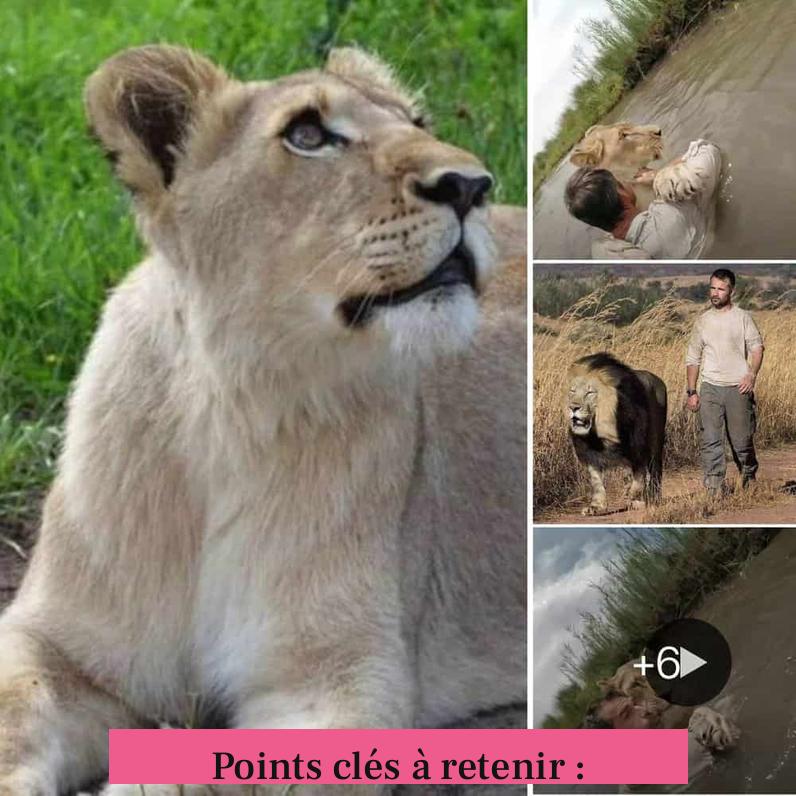 Points clés à retenir :