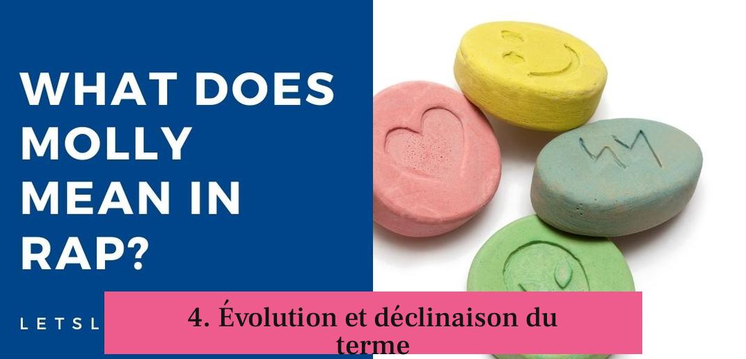 4. Évolution et déclinaison du terme