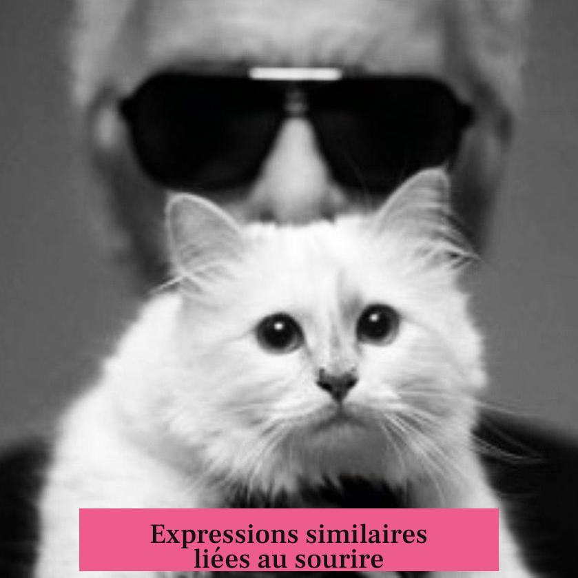 Expressions similaires liées au sourire