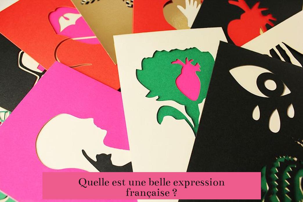 Quelle est une belle expression française ?