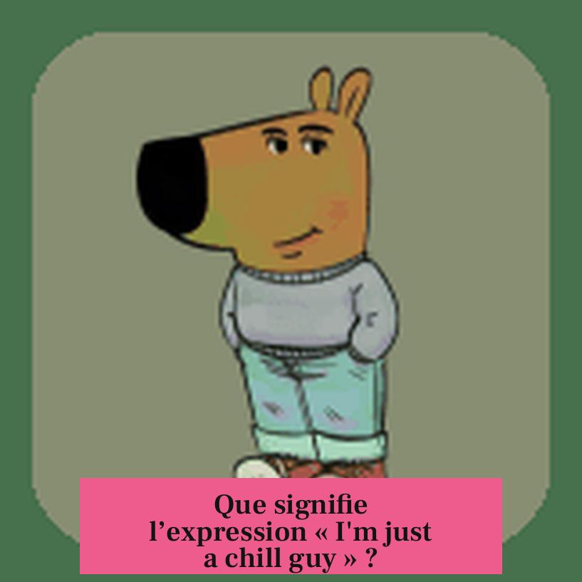 Que signifie l’expression « I'm just a chill guy » ?