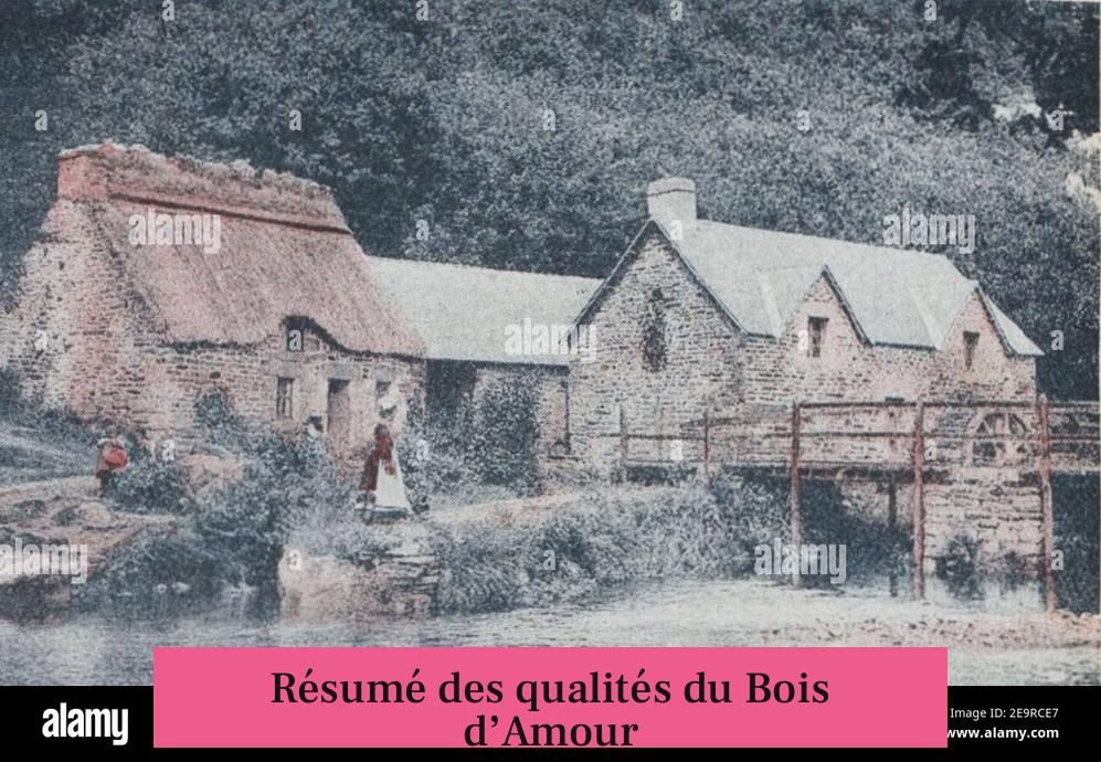 Résumé des qualités du Bois d’Amour
