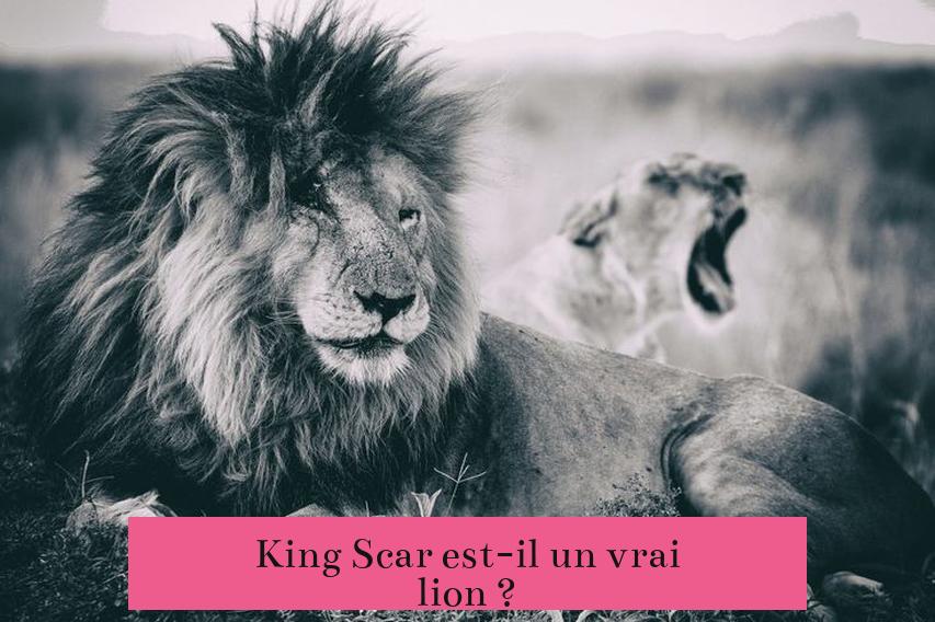 King Scar est-il un vrai lion ?