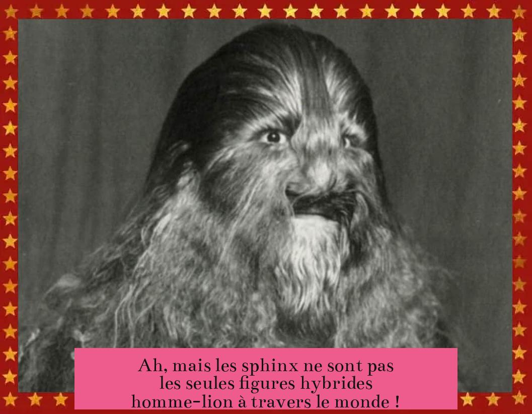 Ah, mais les sphinx ne sont pas les seules figures hybrides homme-lion à travers le monde !