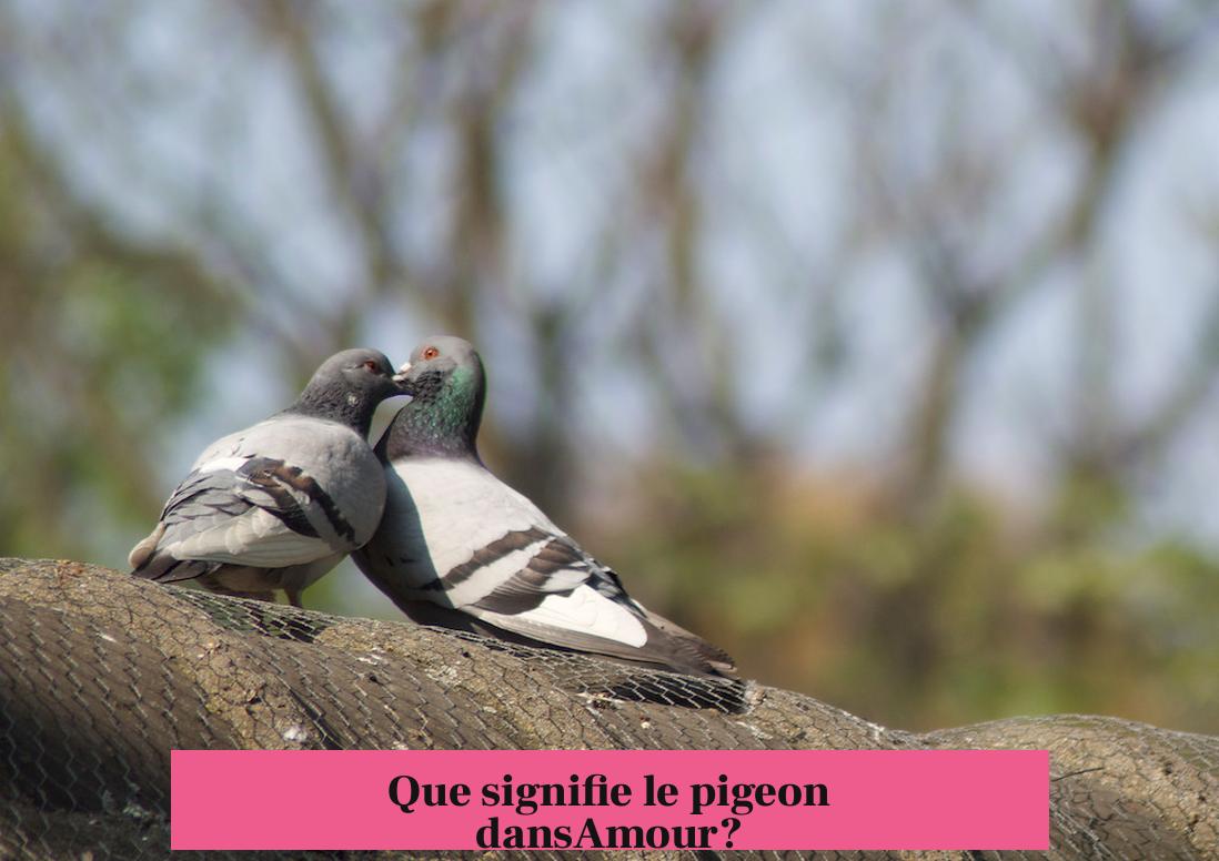Que signifie le pigeon dansAmour?