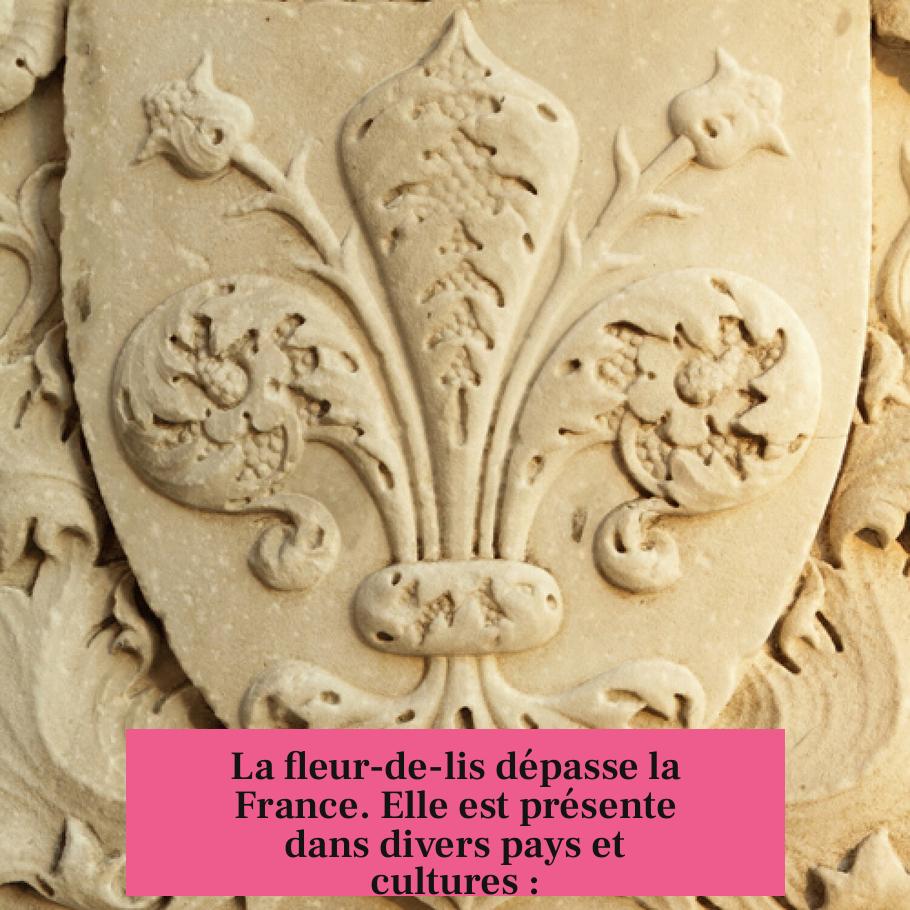 La fleur-de-lis dépasse la France. Elle est présente dans divers pays et cultures :