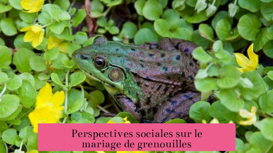 Perspectives sociales sur le mariage de grenouilles