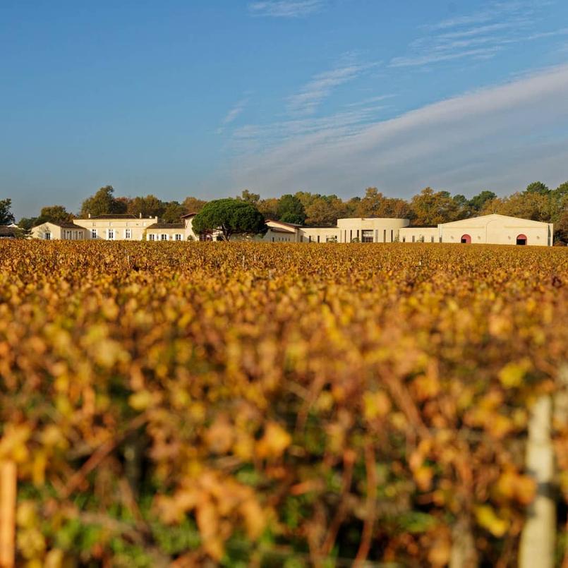 Le domaine a ainsi consolidé sa position parmi les meilleurs crus de Pessac-Léognan. La famille Bernard a su allier tradition et modernité pour valoriser ce terroir unique.