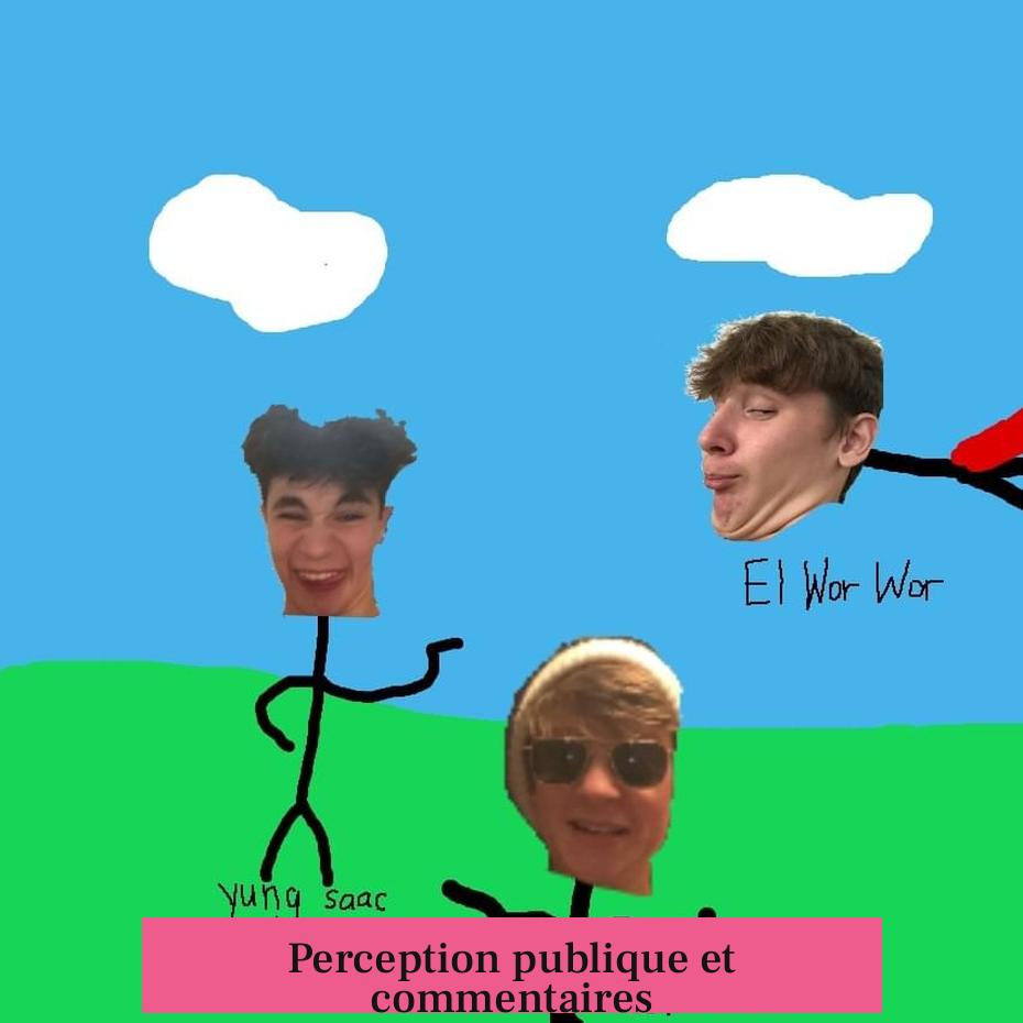 Perception publique et commentaires