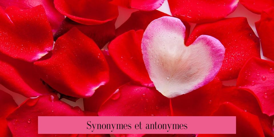 Synonymes et antonymes