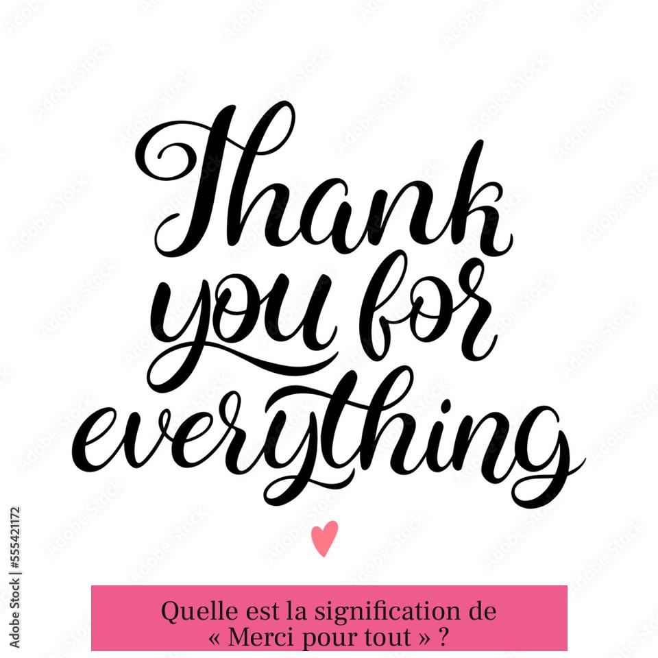 Quelle est la signification de « Merci pour tout » ?