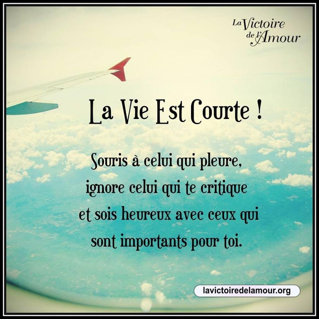 En parallèle, plusieurs citations humoristiques détournent l’expression "Quand la vie te donne des citrons" :