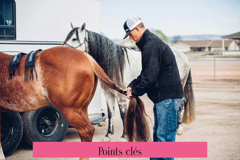 Points clés