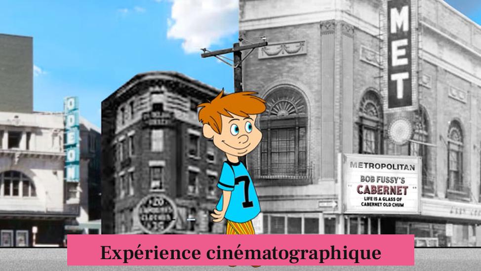 Expérience cinématographique