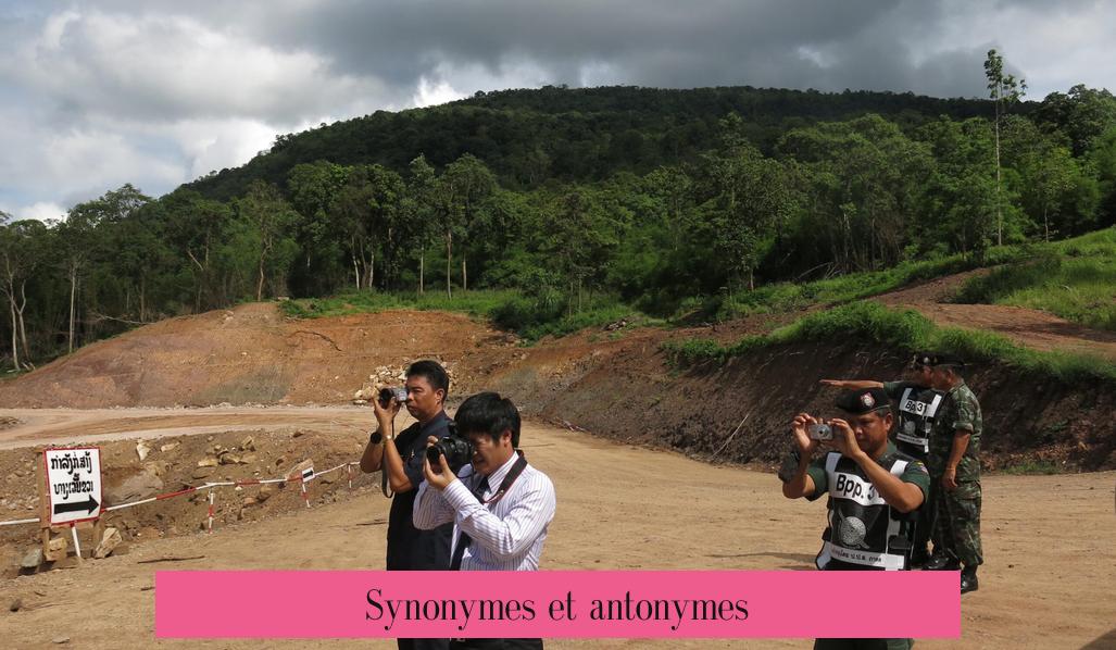 Synonymes et antonymes