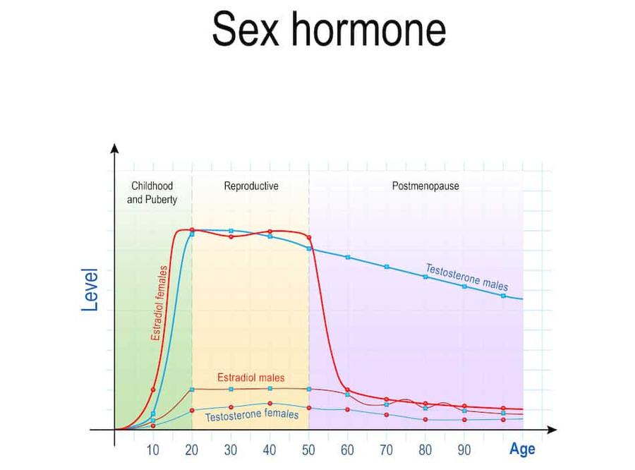 Le taux d’œstrogènes augmente avant l’ovulation, favorisant l’excitation sexuelle. La testostérone, bien que moins présente, peut aussi influencer la libido féminine. Après l’ovulation, la progestérone ralentit le désir en procurant un effet apaisant.