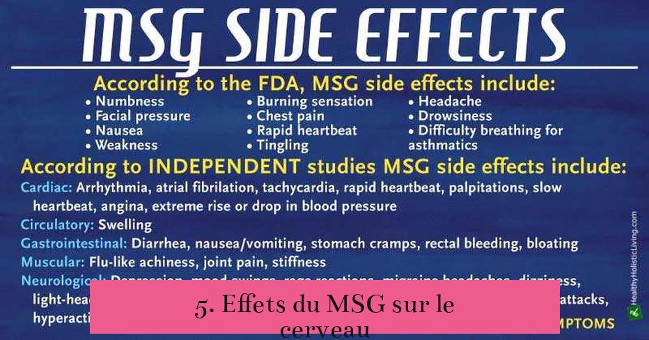 5. Effets du MSG sur le cerveau