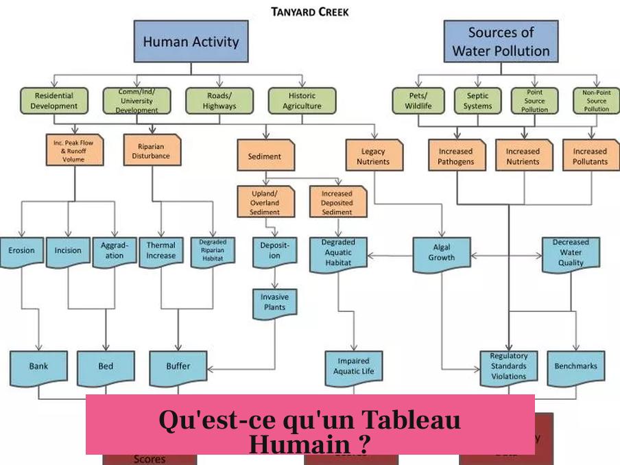 Qu'est-ce qu'un Tableau Humain ?