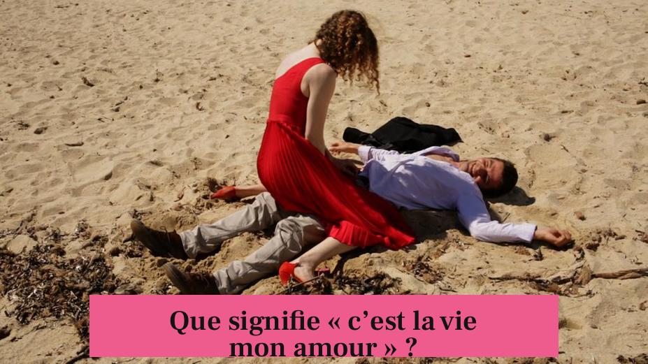 Que signifie « c’est la vie mon amour » ?