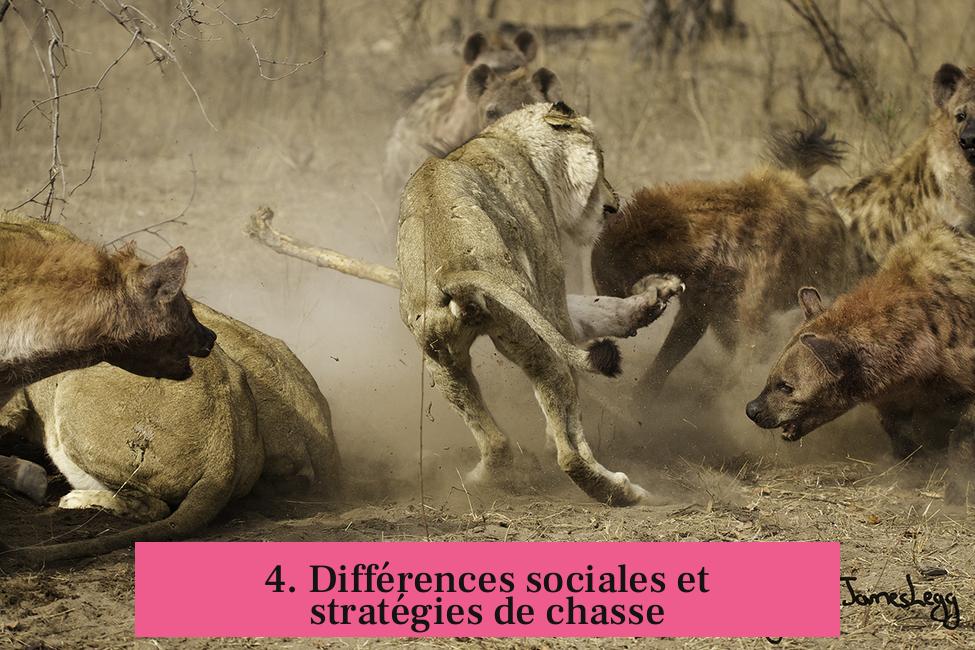 4. Différences sociales et stratégies de chasse