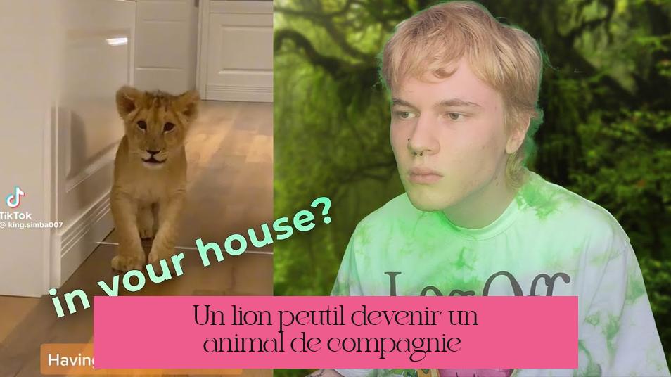 Un lion peut-il devenir un animal de compagnie ?
