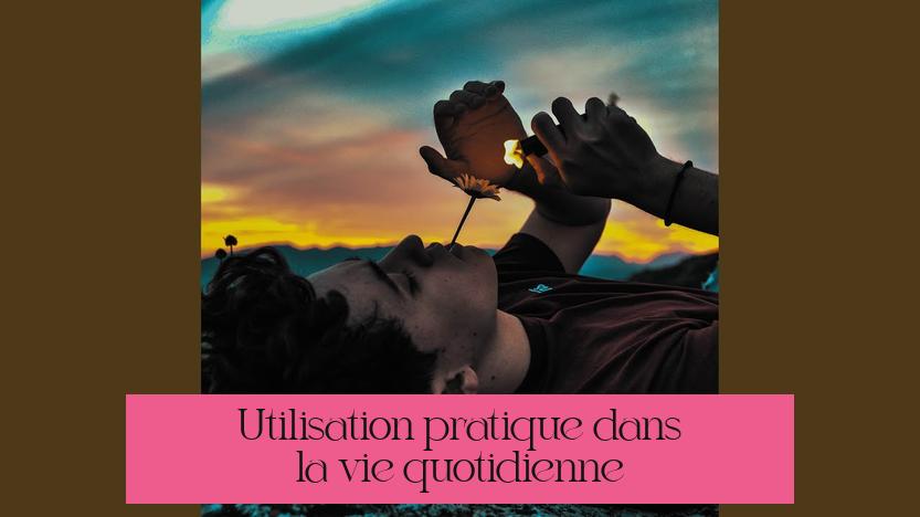 Utilisation pratique dans la vie quotidienne