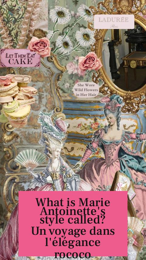 What is Marie Antoinette's style called? Un voyage dans l'élégance rococo