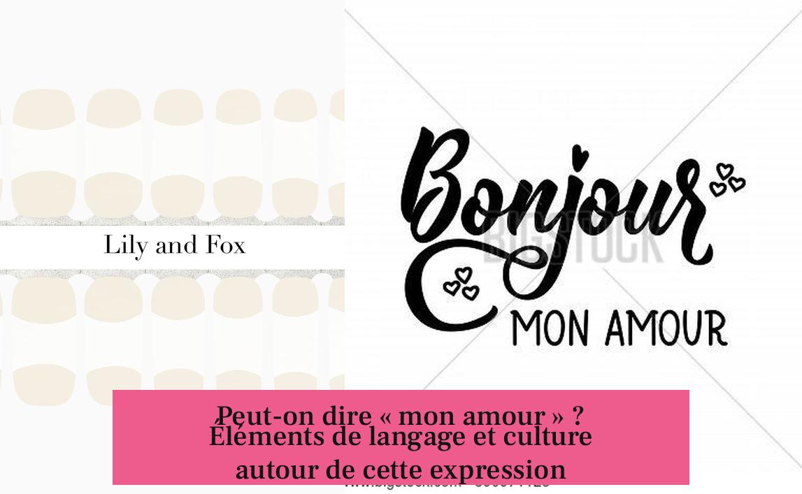 Peut-on dire « mon amour » ? Éléments de langage et culture autour de cette expression