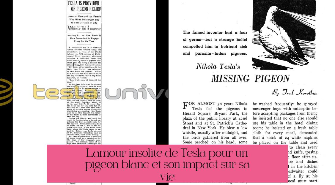 L'amour insolite de Tesla pour un pigeon blanc et son impact sur sa vie