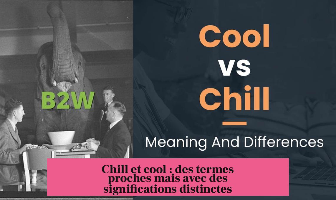 Chill et cool : des termes proches mais avec des significations distinctes