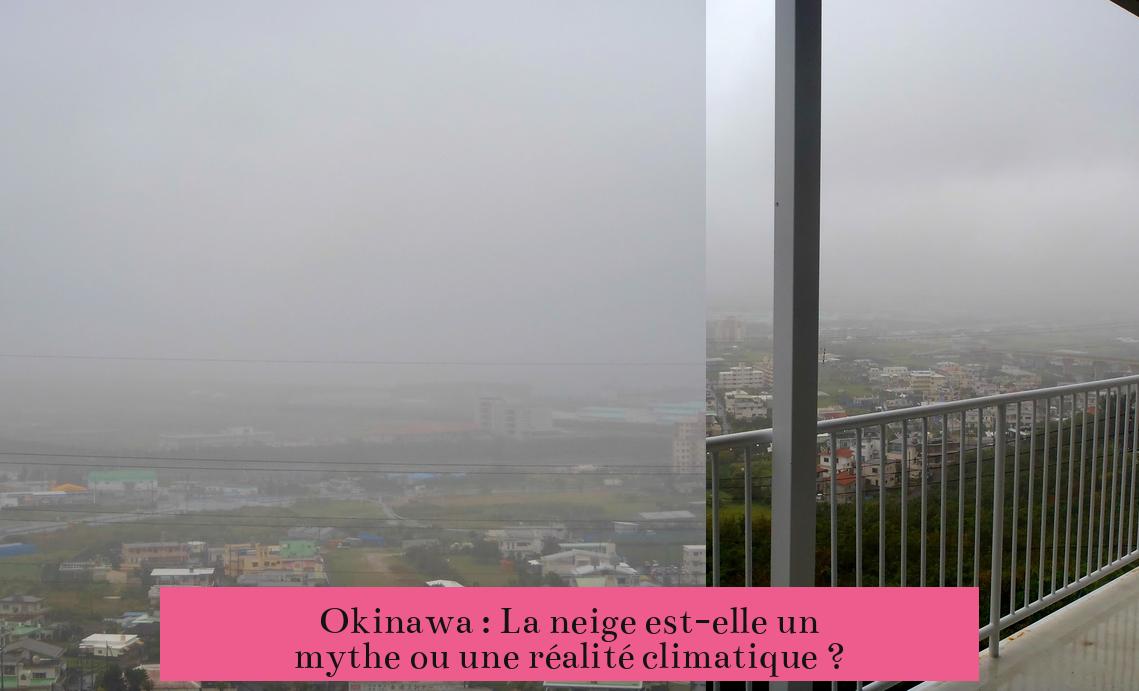 Okinawa : La neige est-elle un mythe ou une réalité climatique ?