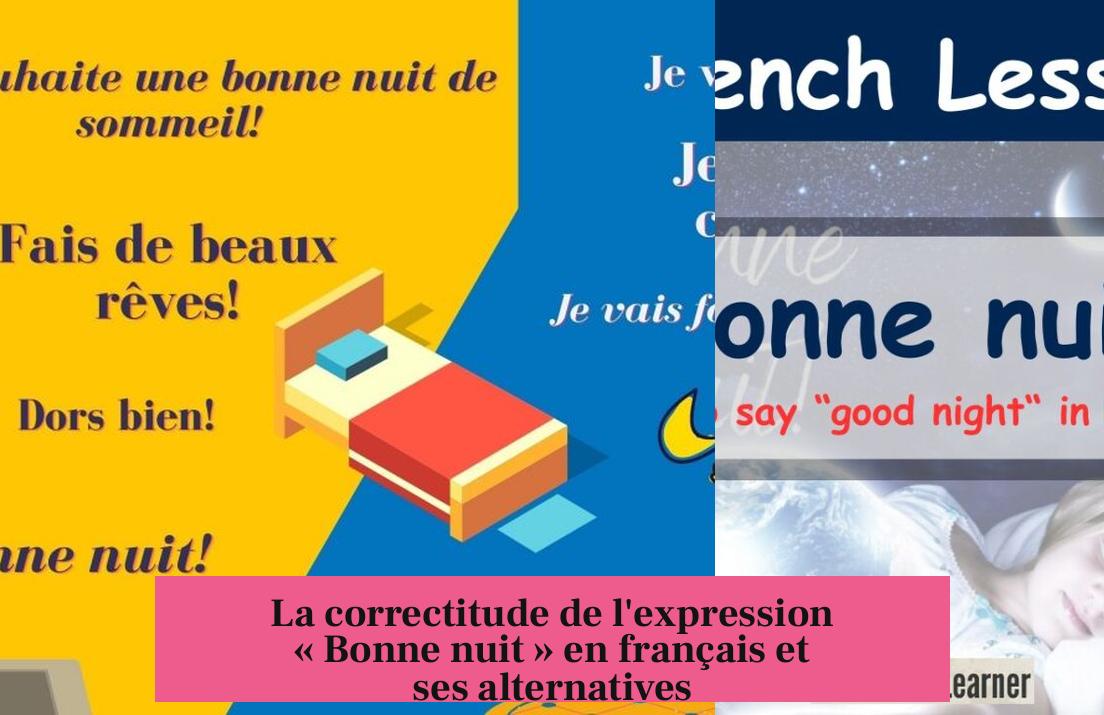 La correctitude de l'expression « Bonne nuit » en français et ses alternatives