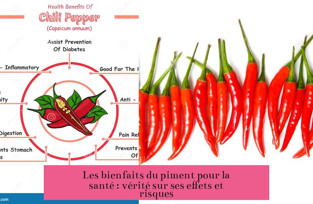 Les bienfaits du piment pour la santé : vérité sur ses effets et risques