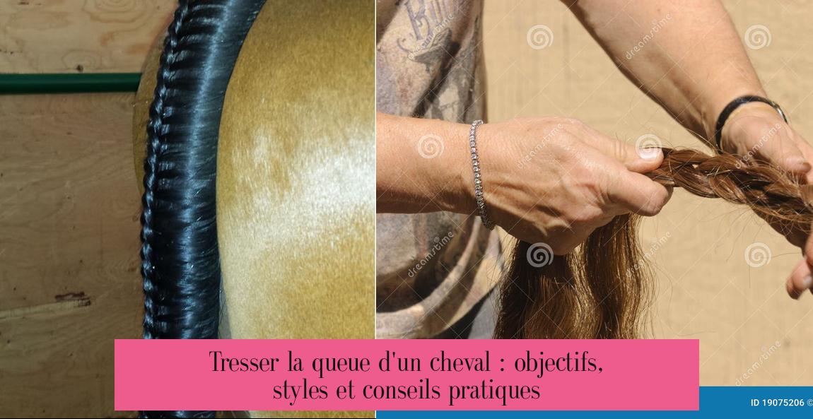 Tresser la queue d'un cheval : objectifs, styles et conseils pratiques