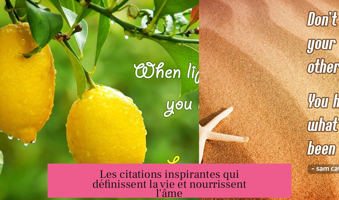 Les citations inspirantes qui définissent la vie et nourrissent l'âme