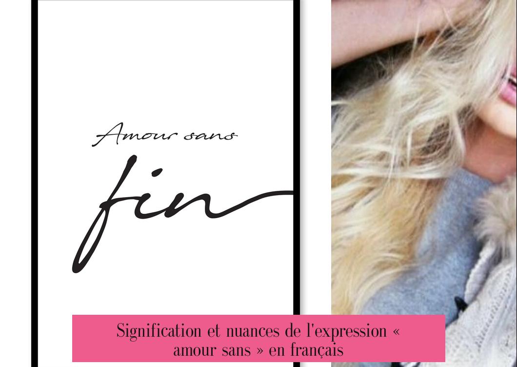 Signification et nuances de l'expression « amour sans » en français