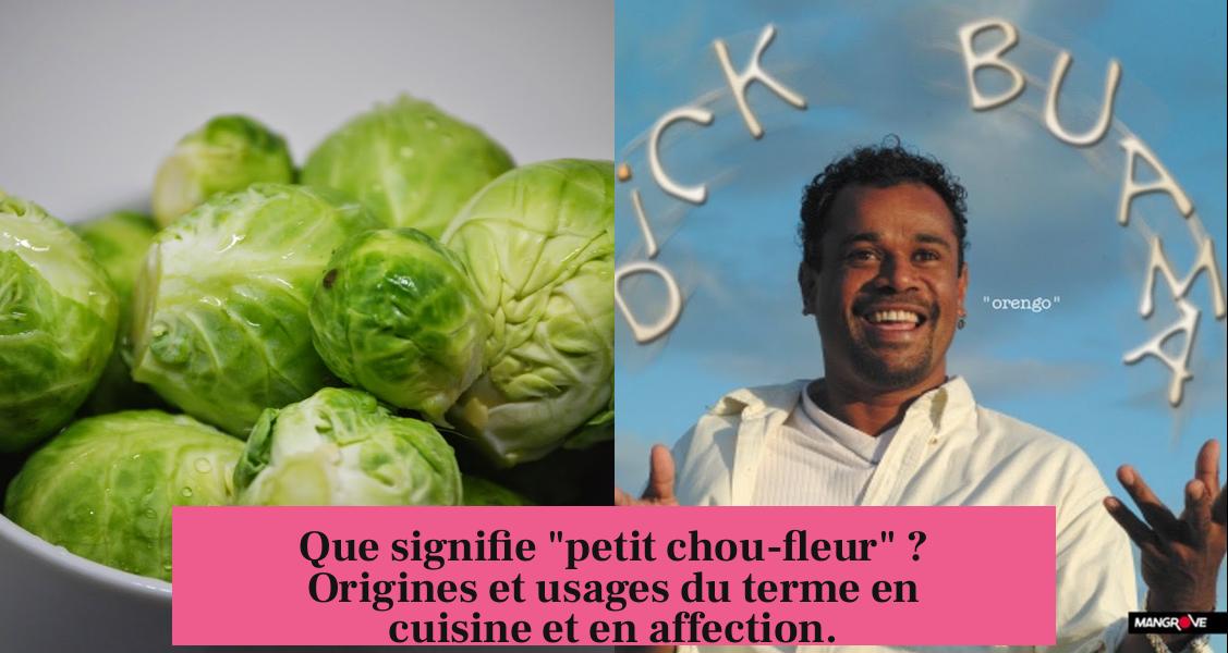 Que signifie "petit chou-fleur" ? Origines et usages du terme en cuisine et en affection.