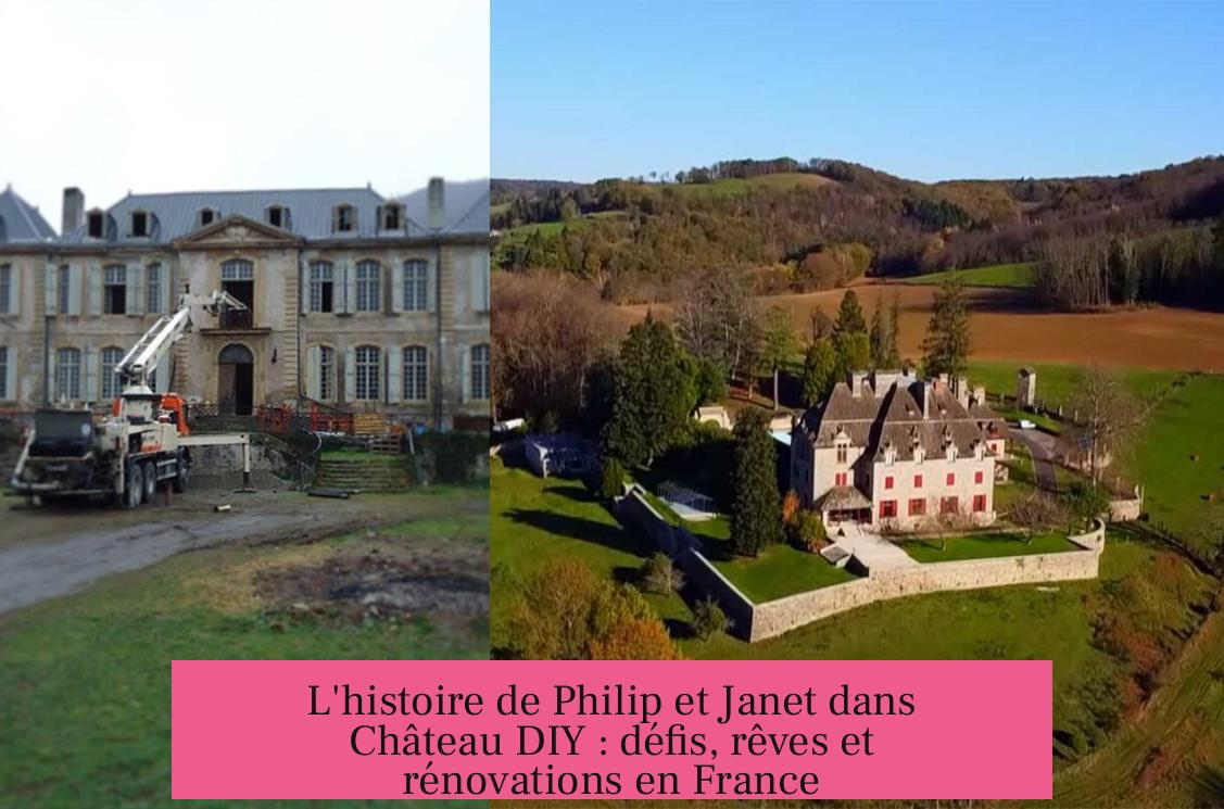 L'histoire de Philip et Janet dans Château DIY : défis, rêves et rénovations en France