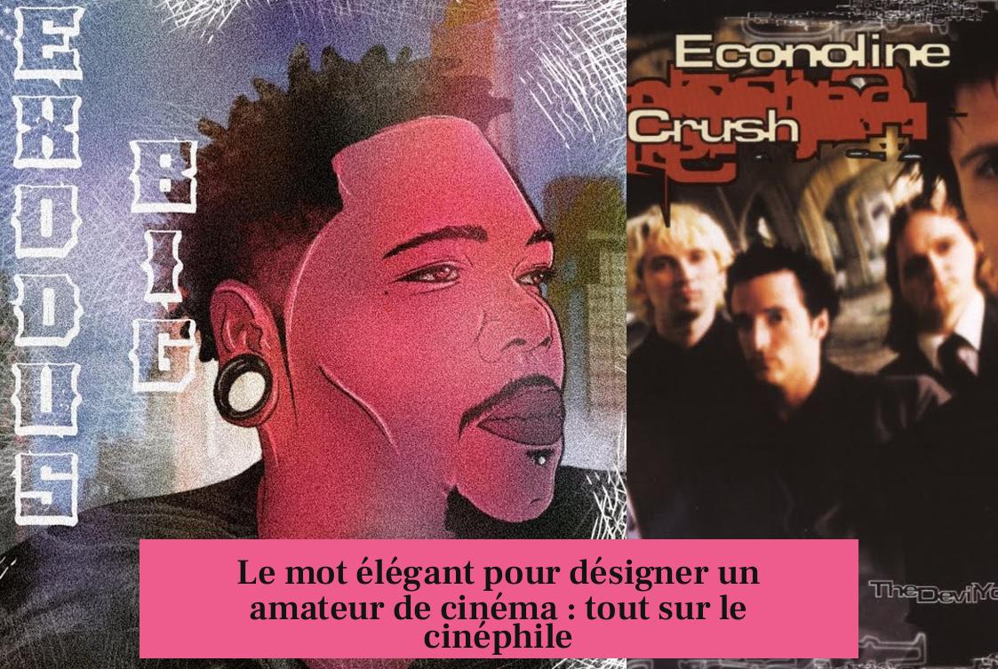 Le mot élégant pour désigner un amateur de cinéma : tout sur le cinéphile