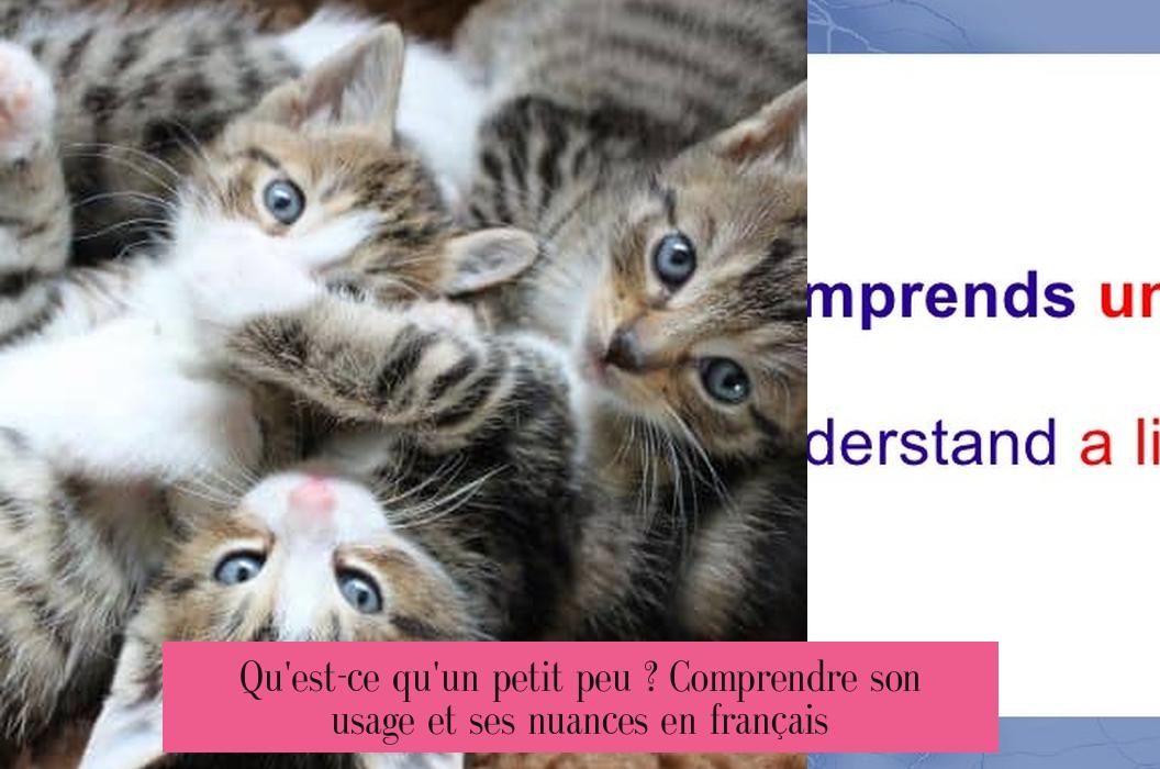 Qu'est-ce qu'un petit peu ? Comprendre son usage et ses nuances en français