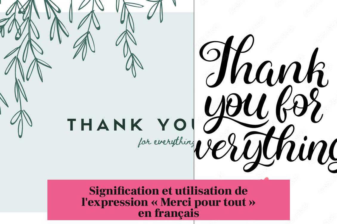 Signification et utilisation de l'expression « Merci pour tout » en français