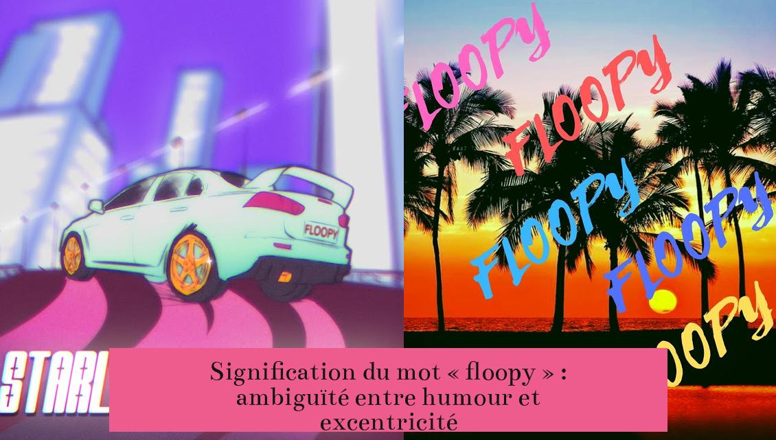Signification du mot « floopy » : ambiguïté entre humour et excentricité