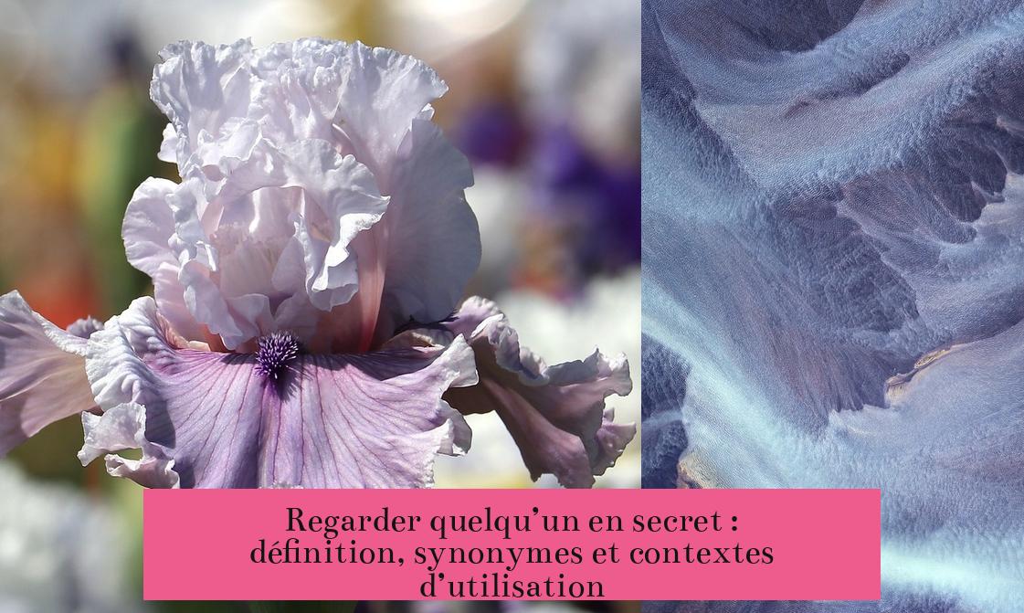 Regarder quelqu’un en secret : définition, synonymes et contextes d’utilisation