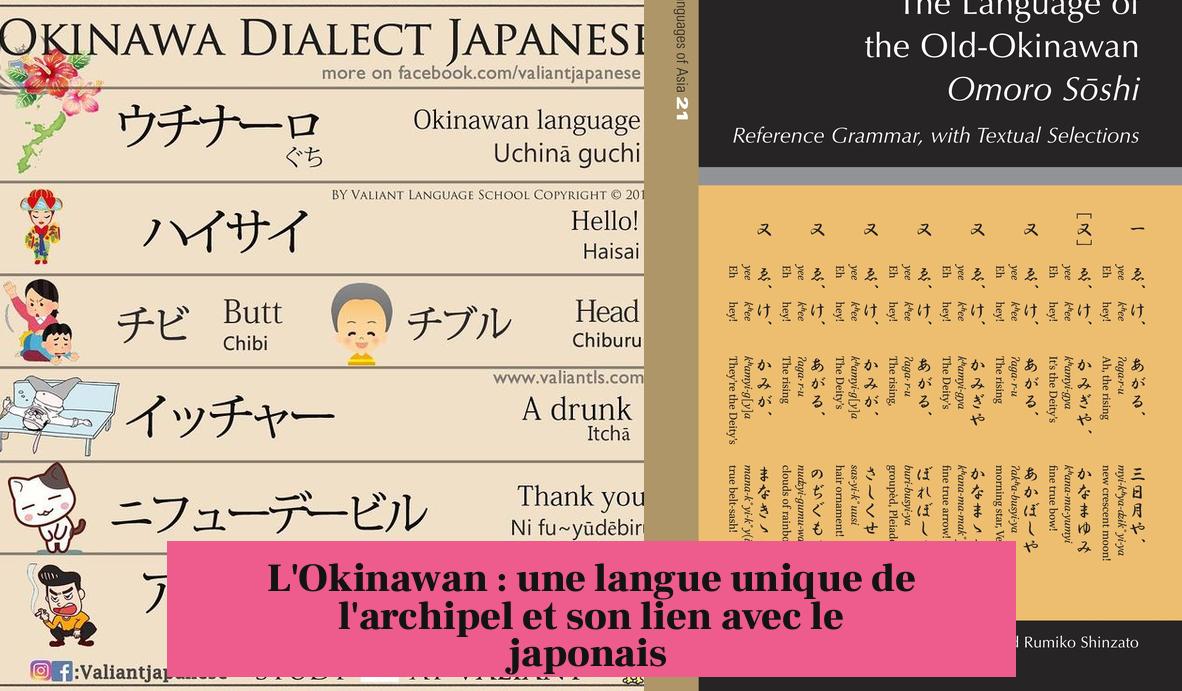 L'Okinawan : une langue unique de l'archipel et son lien avec le japonais