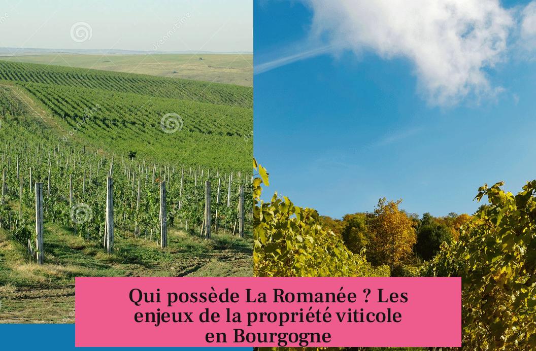 Qui possède La Romanée ? Les enjeux de la propriété viticole en Bourgogne