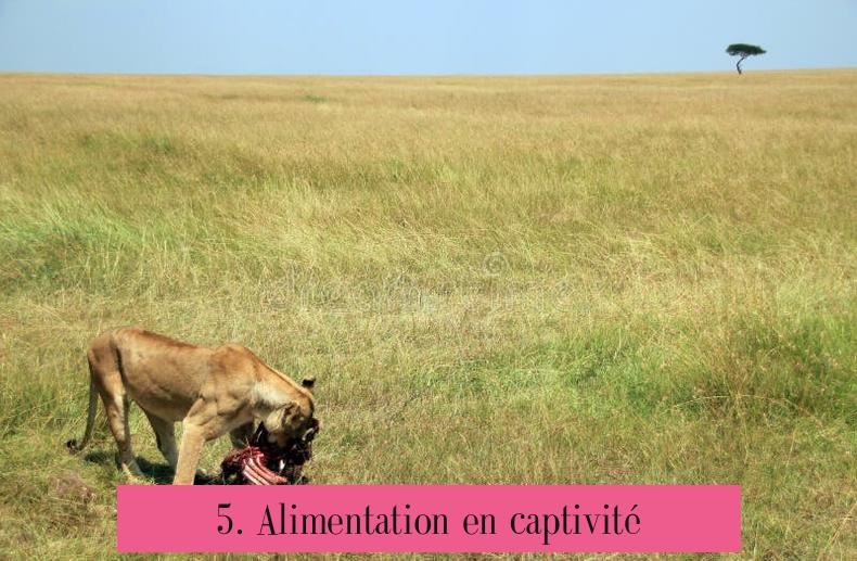 5. Alimentation en captivité