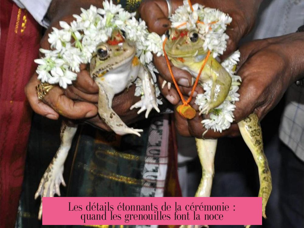 Les détails étonnants de la cérémonie : quand les grenouilles font la noce