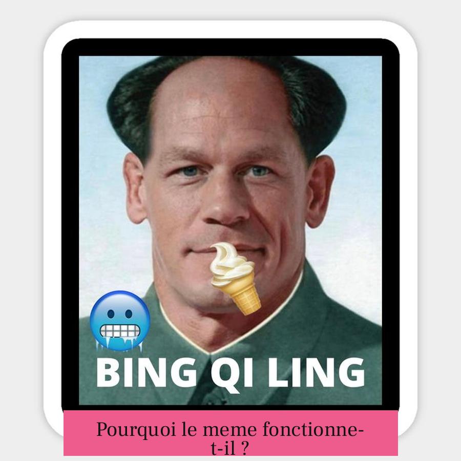 Pourquoi le meme fonctionne-t-il ?