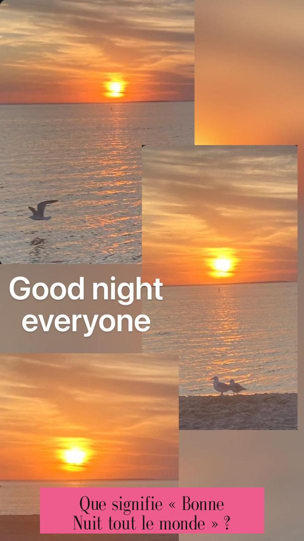 Que signifie « Bonne Nuit tout le monde » ?