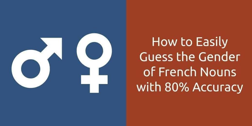 Le genre affecte l'accord des adjectifs et des articles, essentiels pour construire des phrases correctes. Par exemple :